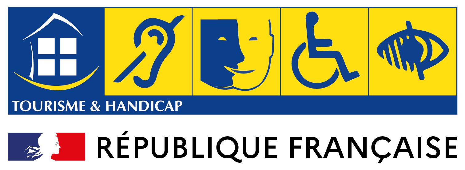 Hearing Impairment Mental Motor Visual
