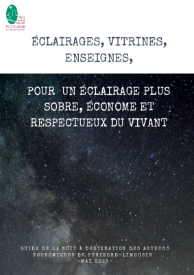 Guide de la nuit, à destination des acteurs économiques