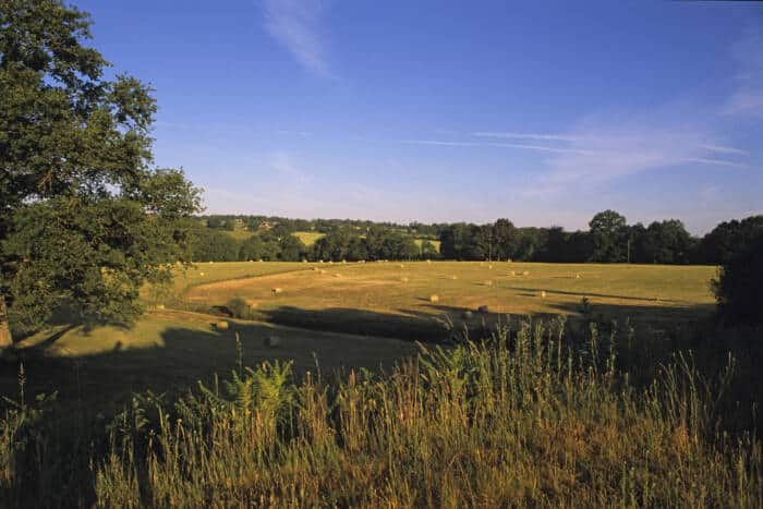 Le bocage limousin pres de Gorre C. Molitor