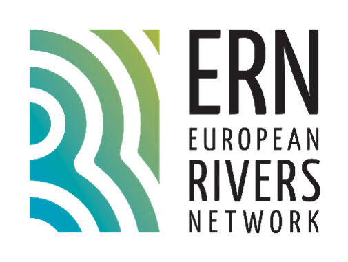 Logo ERN