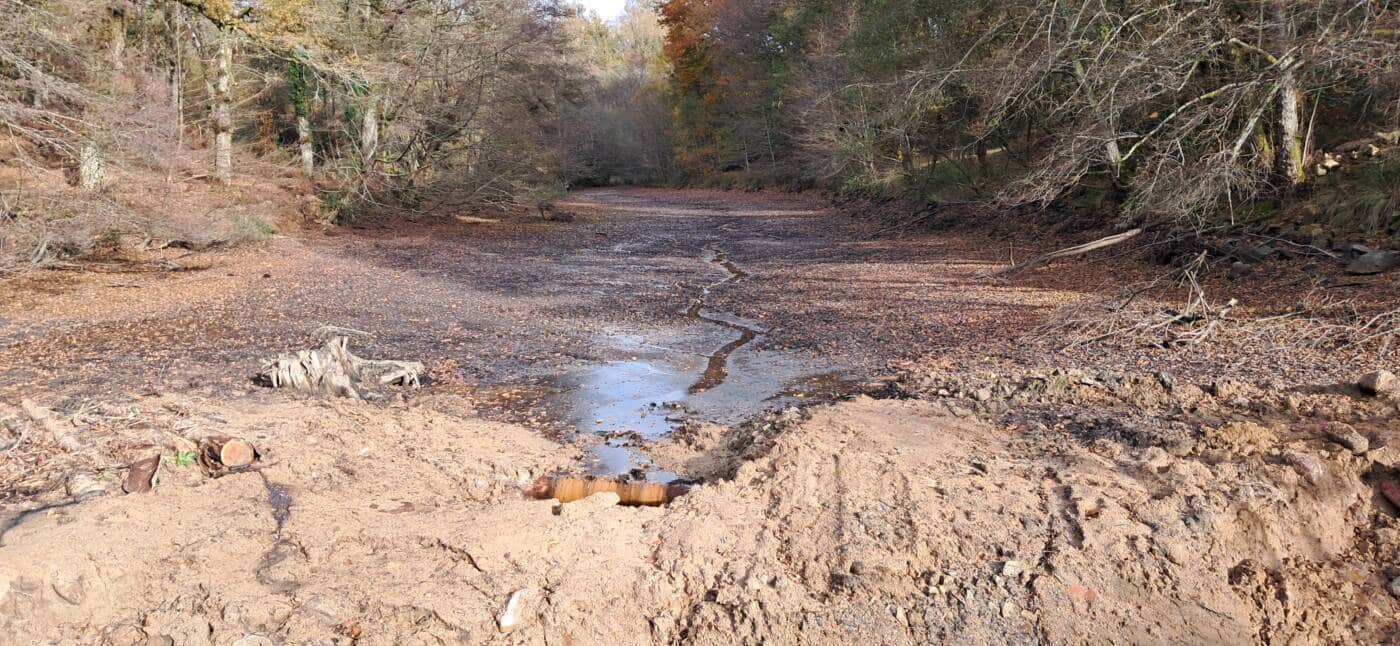 Travaux mazieras ©PNRPL 4