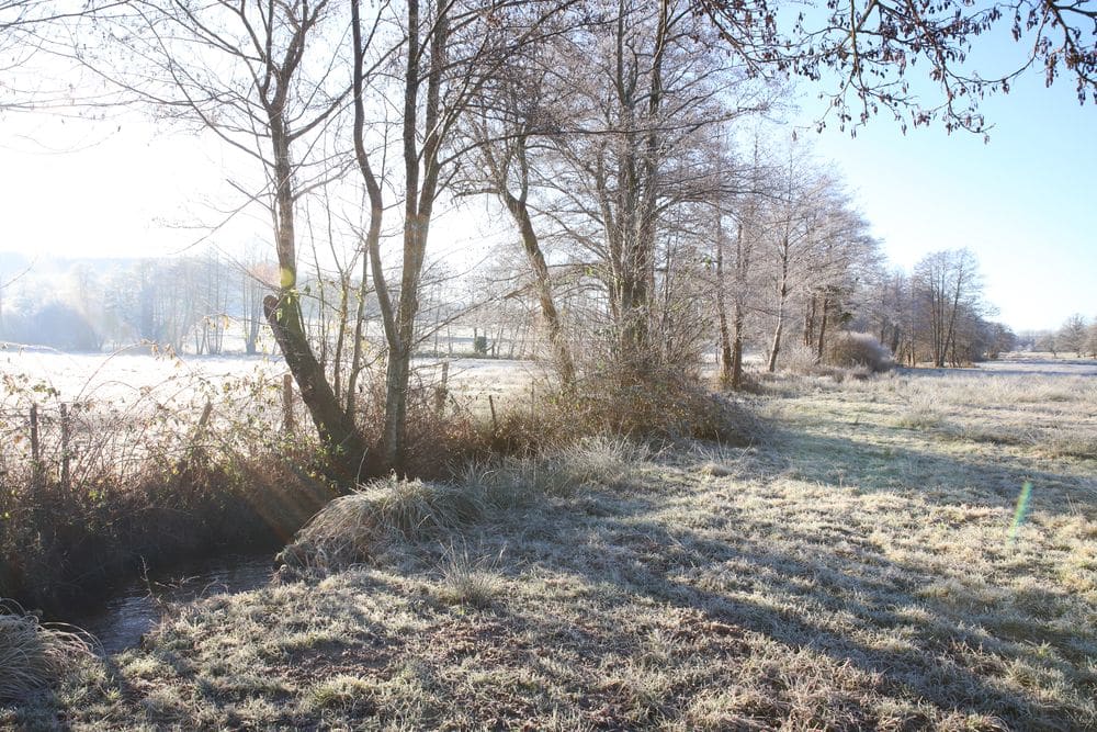 Biodiversite Perigord Limousin ©GaetanMouly 162