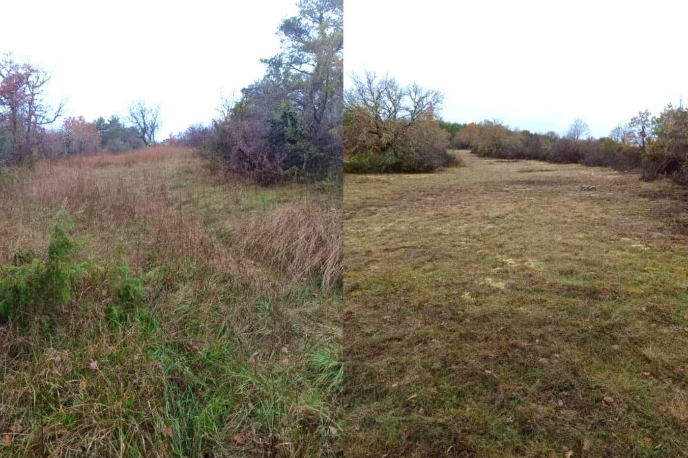 Argentine Avant Apres travaux