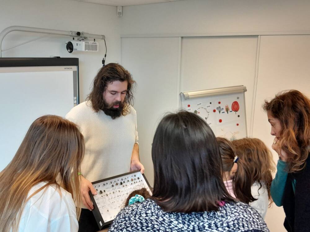 2026.02.18 Animation Wild bees Nexon ©PNRPL 5