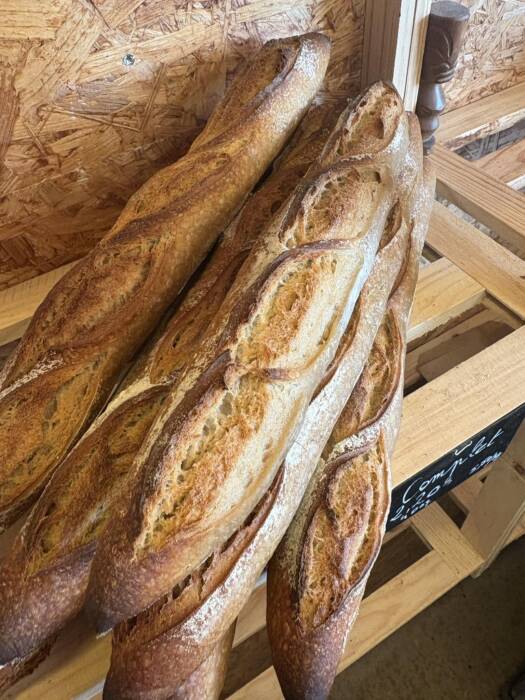 668081339 982770054083334 7293636299157172483 n