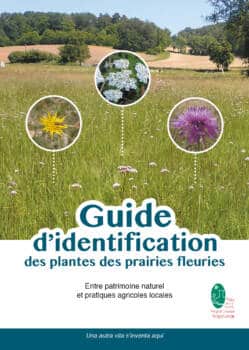 Guide d'identification des plantes des prairies fleuries