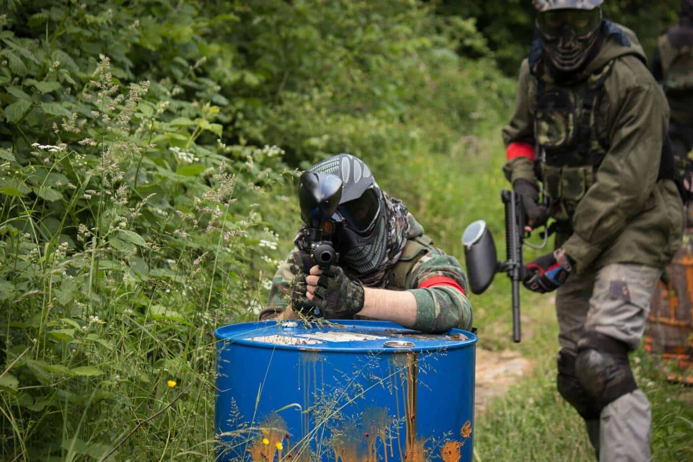 Limousin Paintball_1