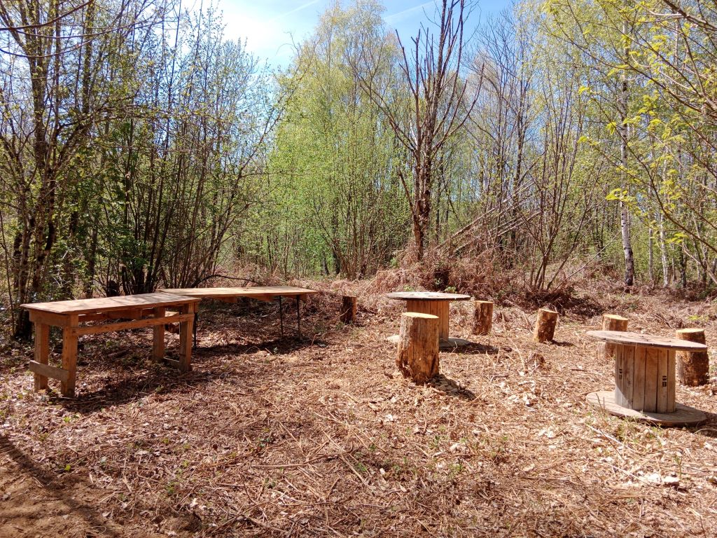 PHOTO ATELIER FORET