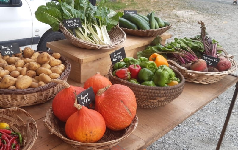Les jardins de La Cueille stand marché 1