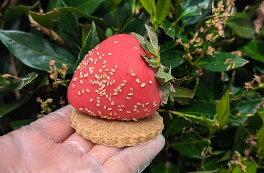 Papilles - Fraise