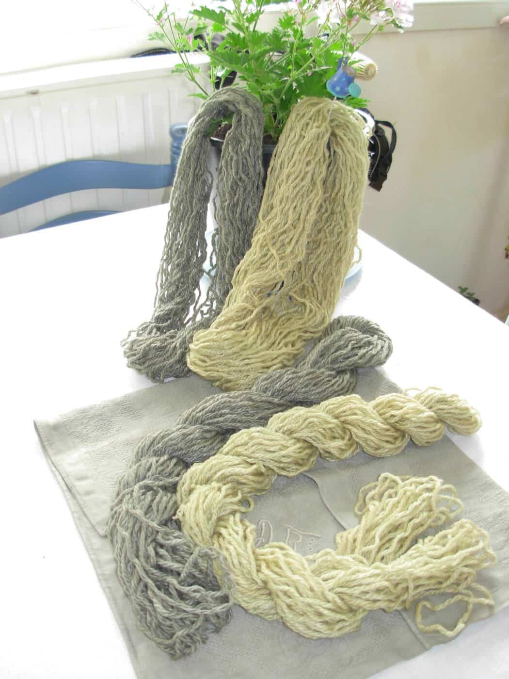 teinture de fougères
