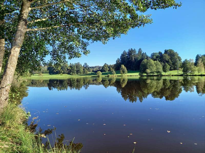 photo pêche