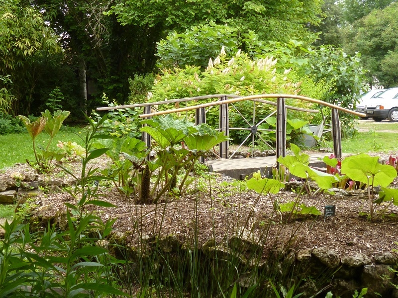Jardin botanique d'ALAIJE Tourbière