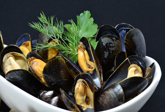 mussels-3148429_640
