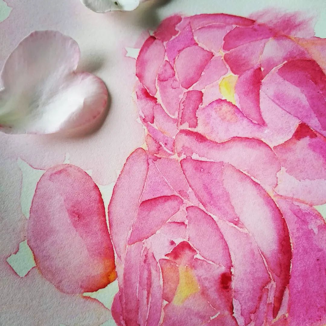 roses