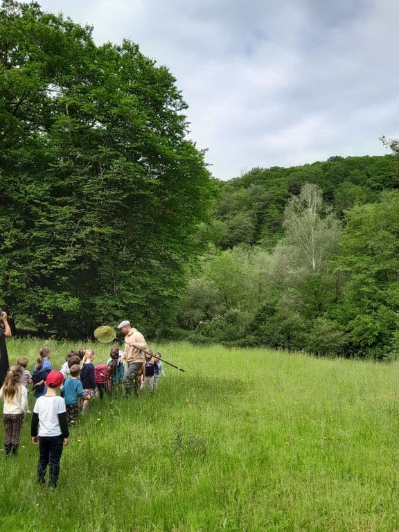 20_Sur la piste des abeilles sauvages @PNRPL