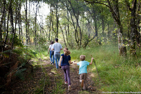 mialet-18 Petite Souris Photographie