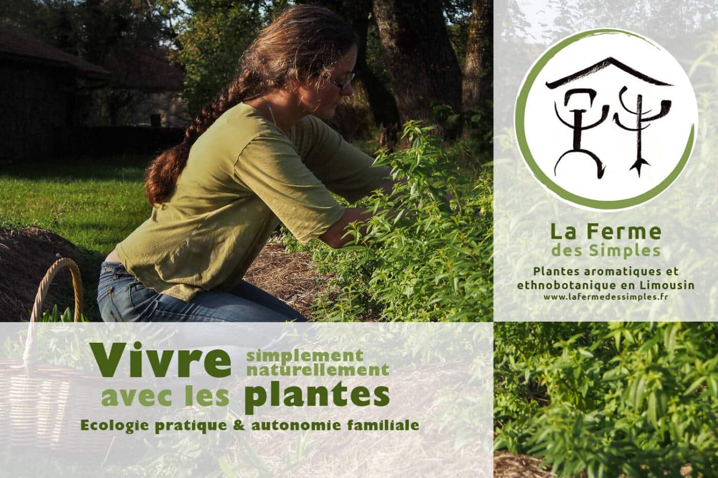 Stage Vivre avec les plantes