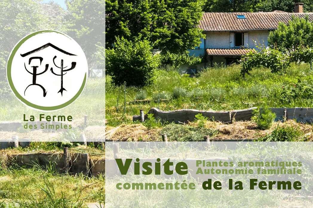 Visite de la ferme