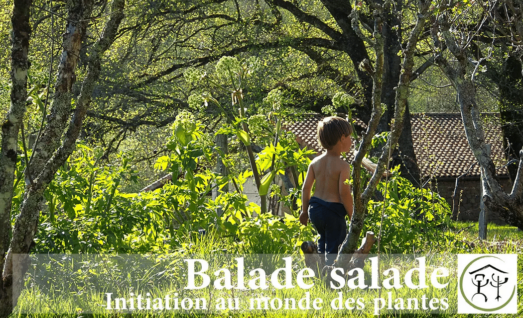 Balade salade