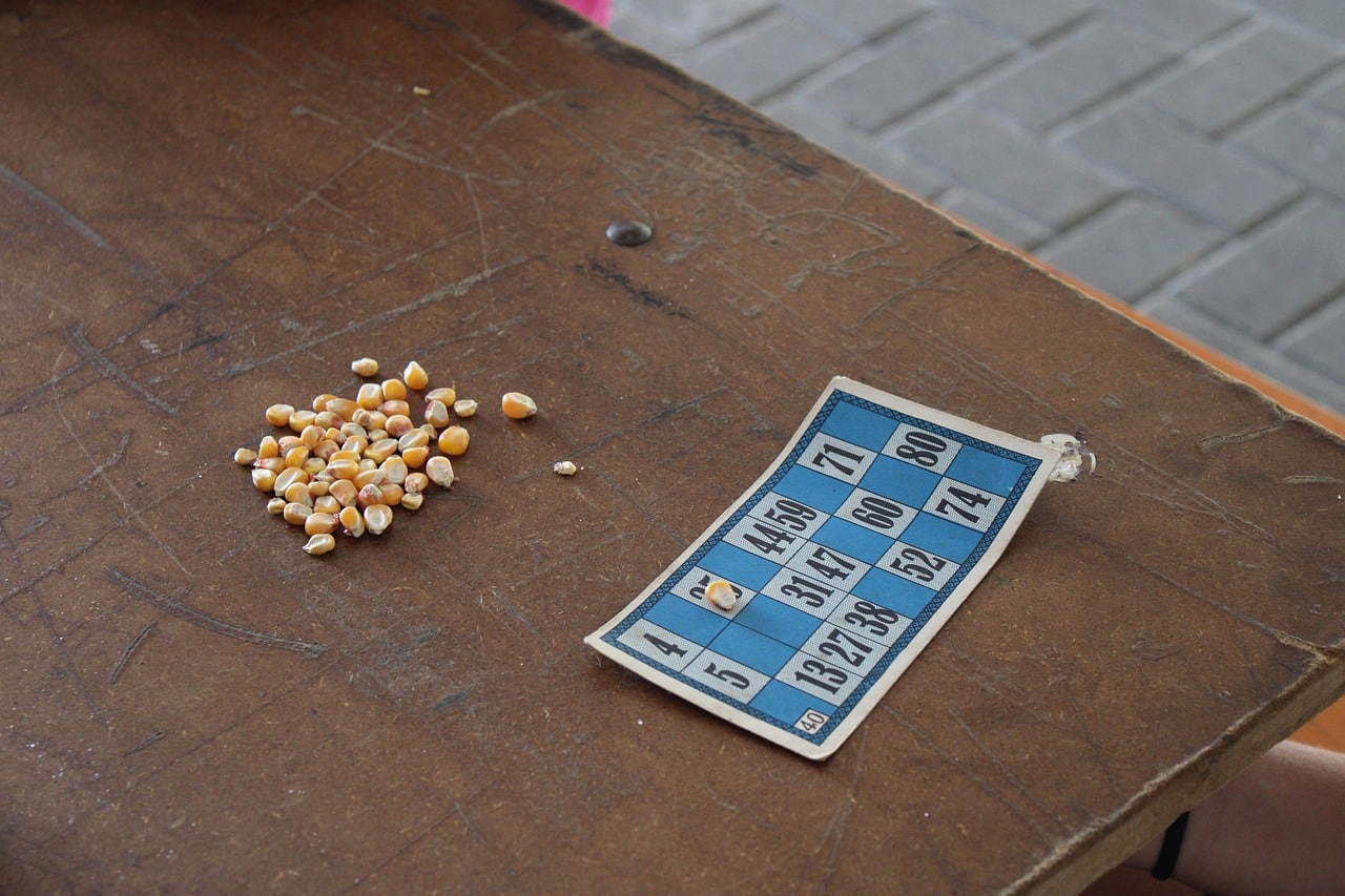 bingo-6