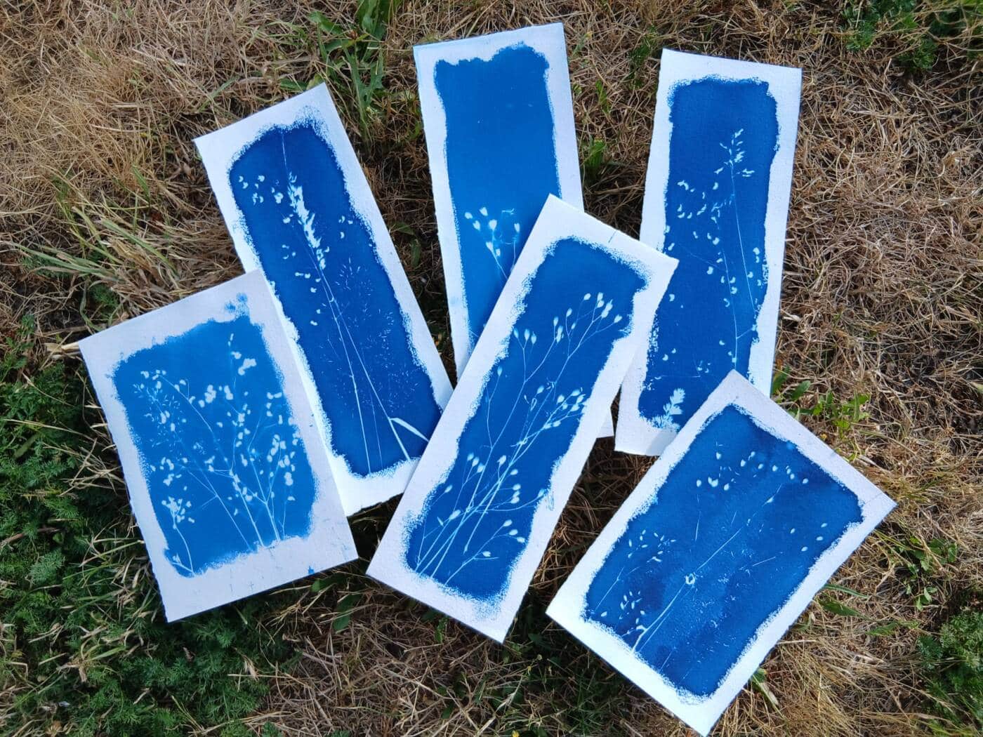 Cyanotype_Gaëlle Caublot