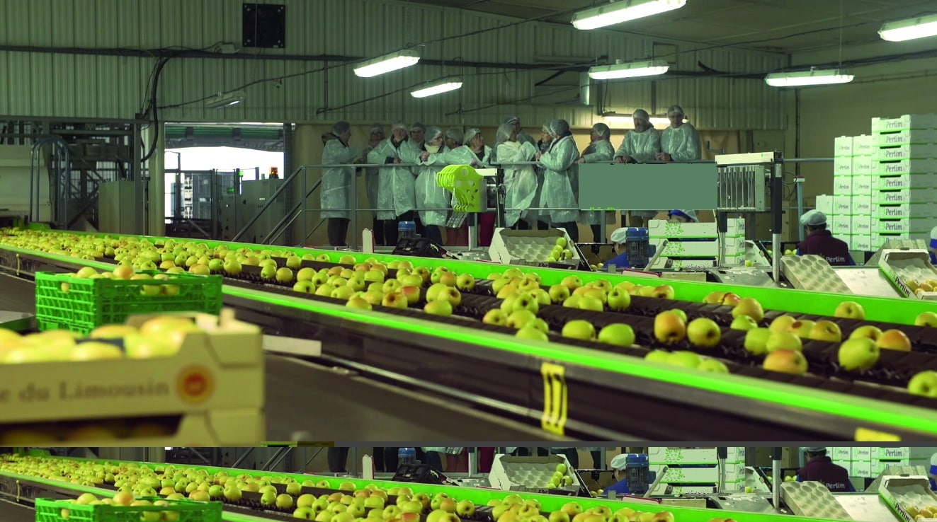 Visite cooperative