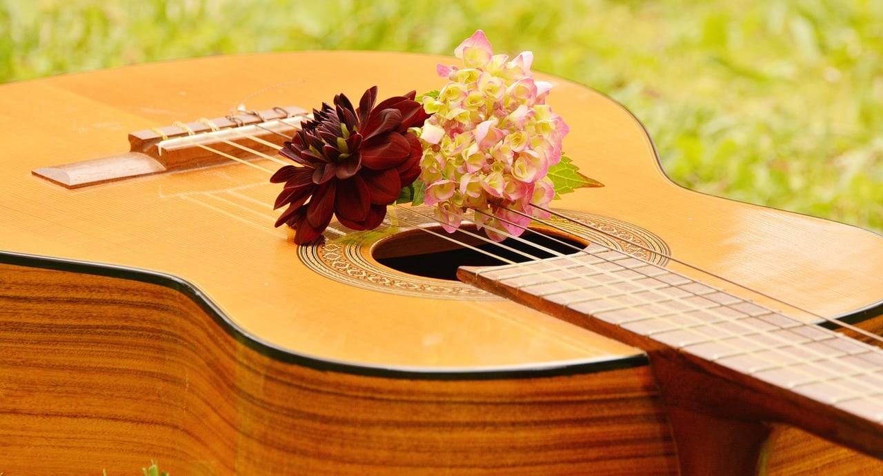 congerdesign-guitar