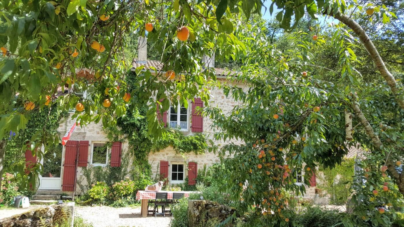 lemoulin-ext