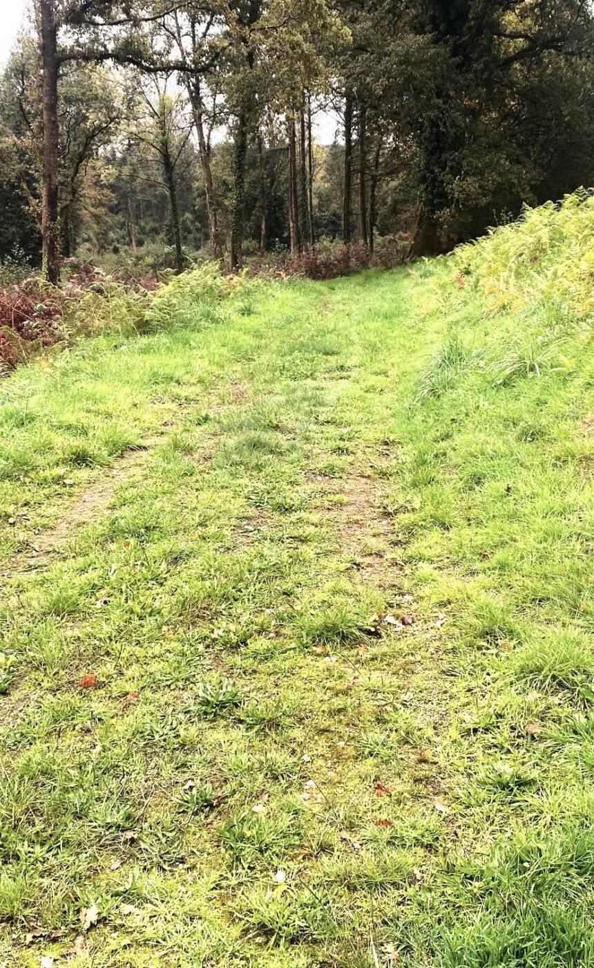 ABJAT-SUR-BANDIAT-Boucle de la Martre-Chemin
