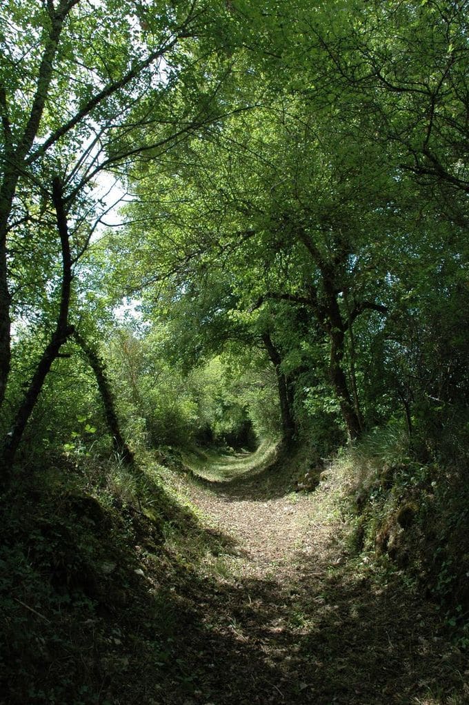 Chemin-13