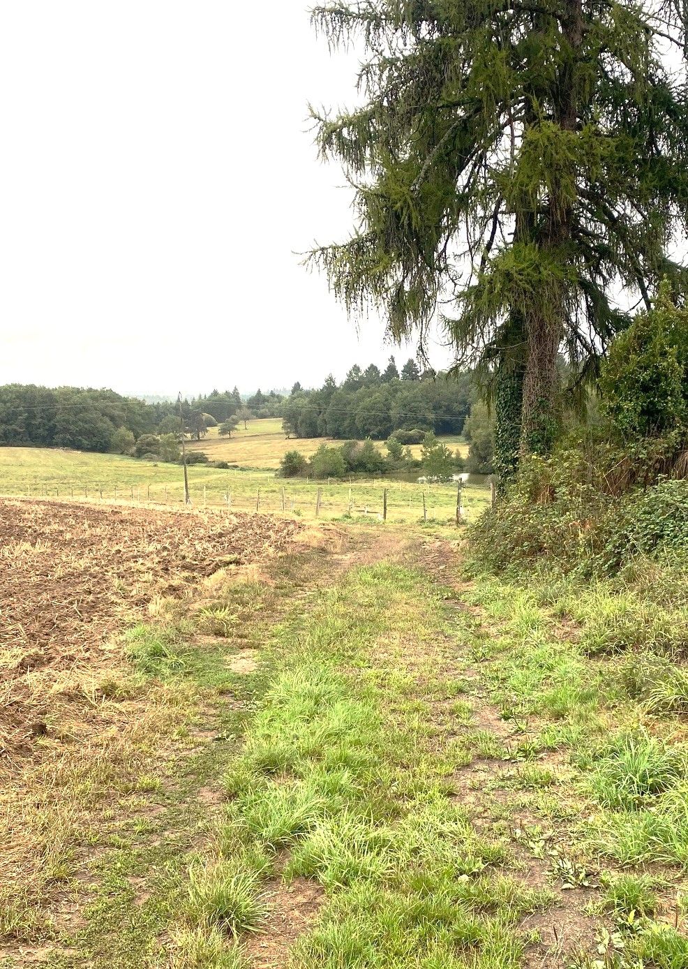 CHAMPNIERS-ET-REILHAC-Boucle de l'Albine-Chemin 2
