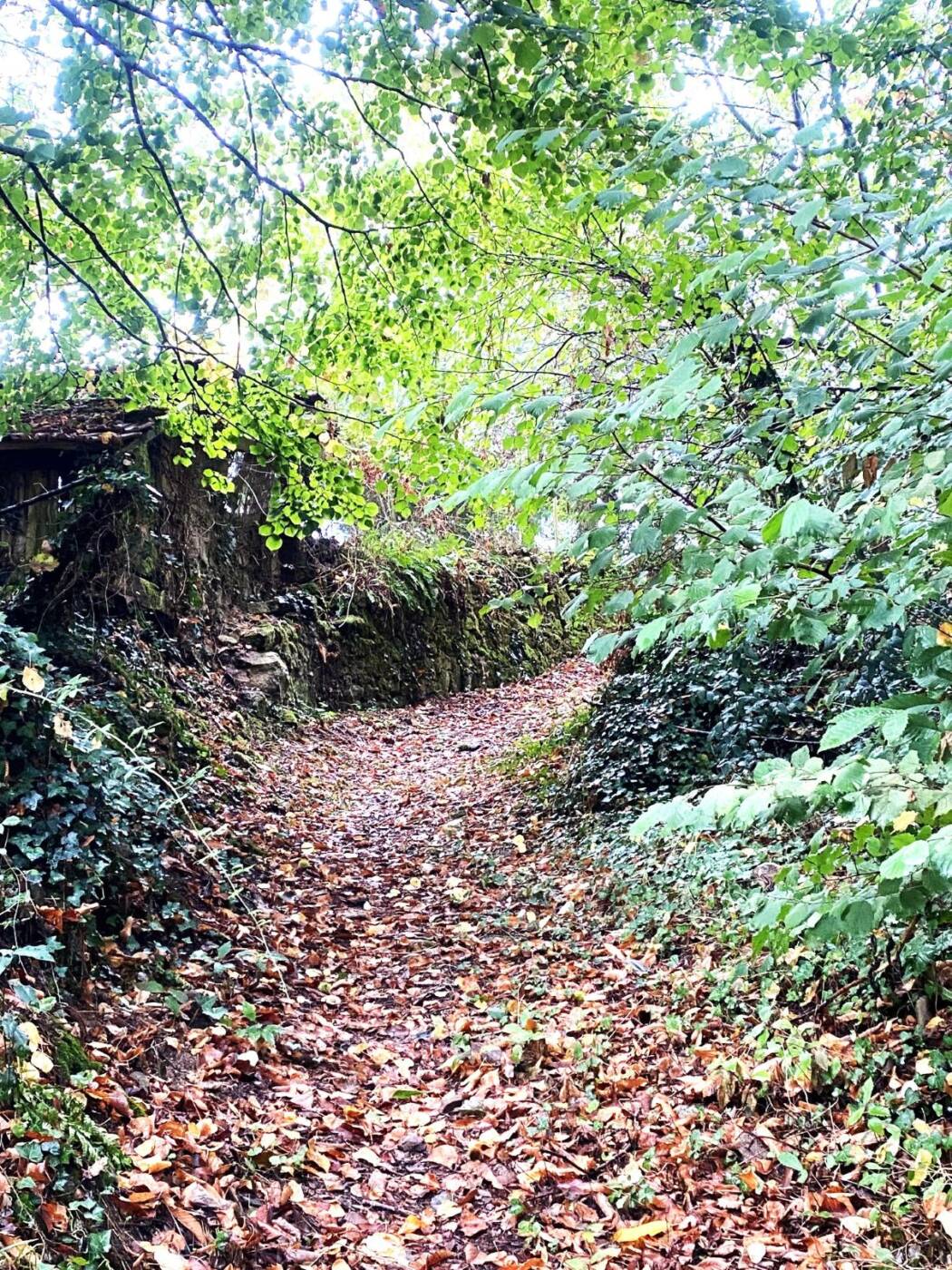 CHAMPNIERS-ET-REILHAC-Boucle de la Voie romaine-Chemin 2