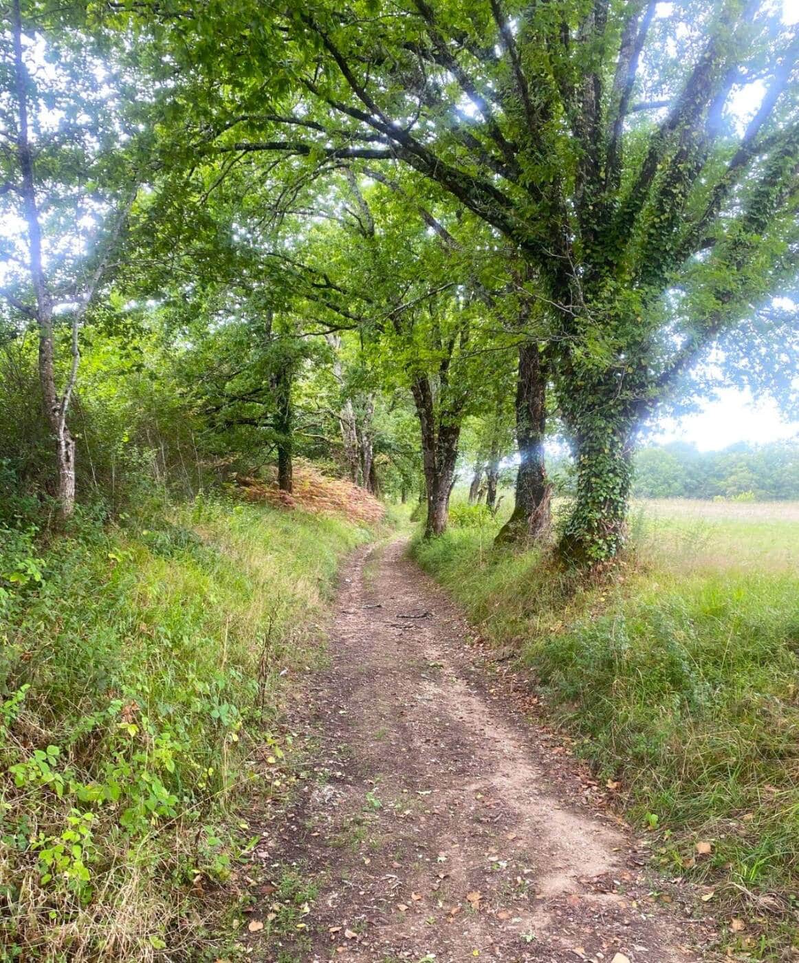 SAINT-PARDOUX-LA-RIVIERE-Boucle de Puypelat-Chemin