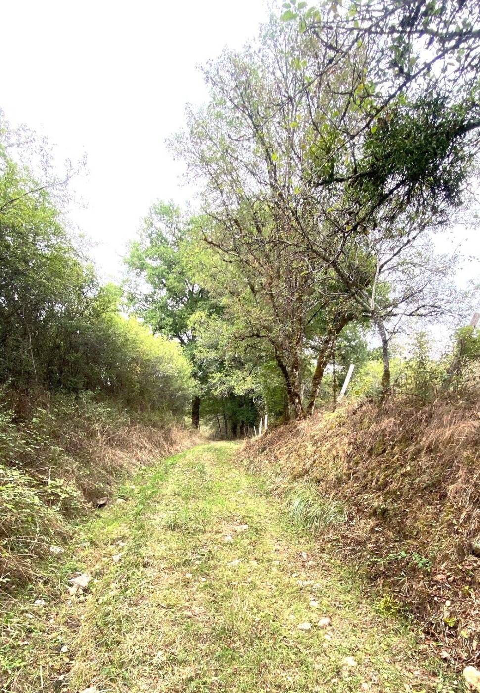 SAINT-PARDOUX-LA-RIVIERE-Boucle de la Dorie-Chemin