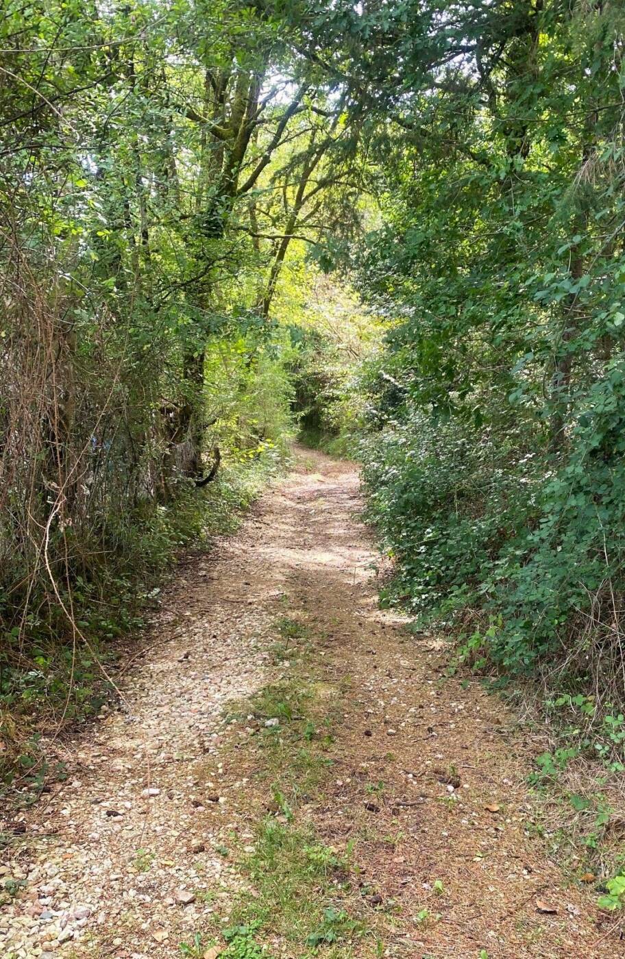 MILHAC-DE-NONTRON-Boucle de Croze-Chemin 2
