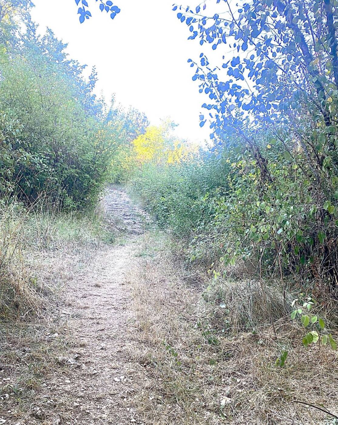 SAINT MARTIAL DE VALETTE-Boucle des Cîmes-Chemin