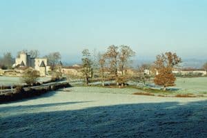 la forêt de Cromières_1