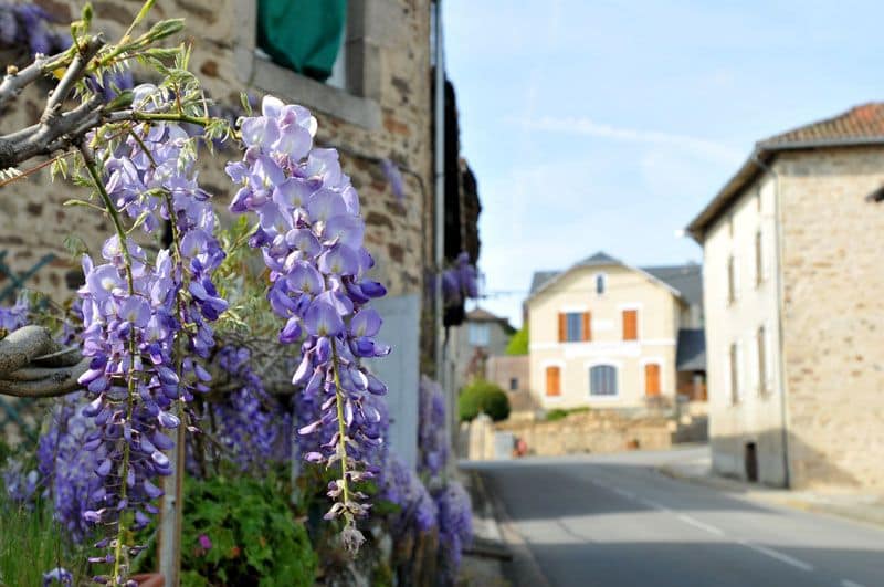 Chemin de Soumagnas_1