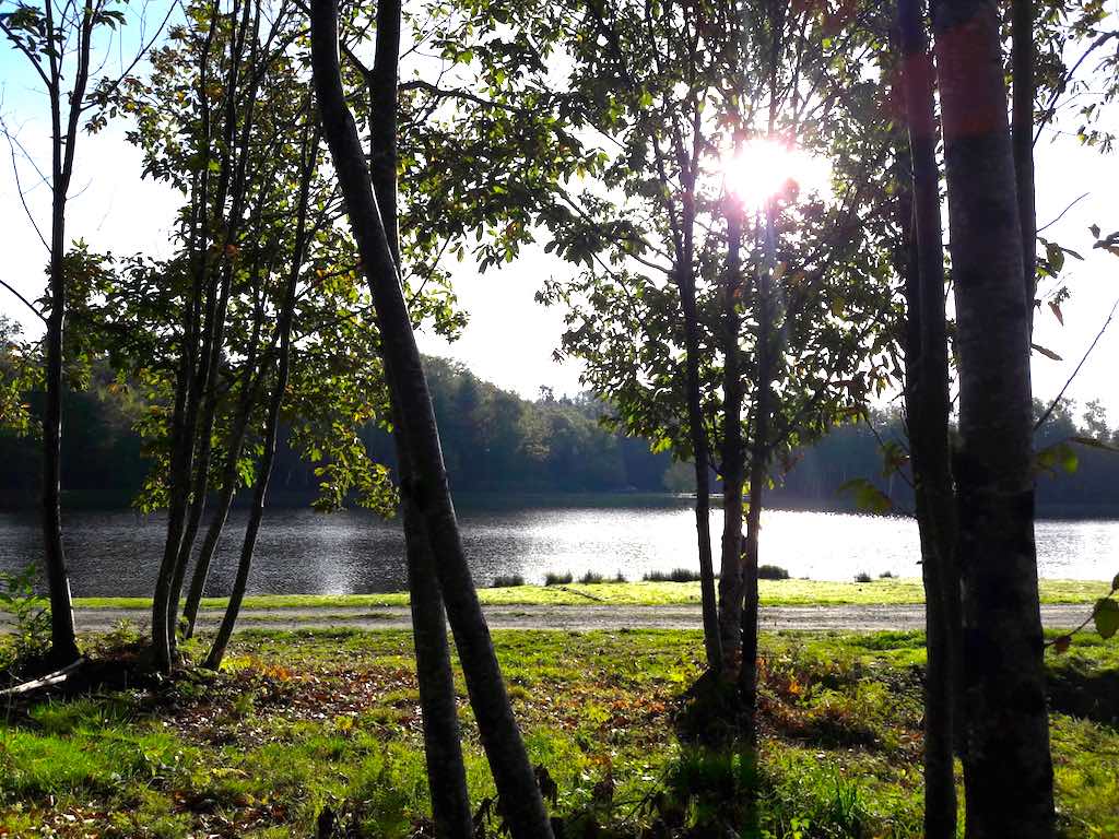 Etang de Masselièvre