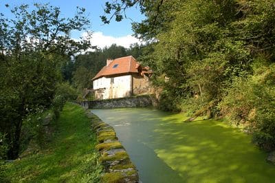 Circuit du moulin de l'âge à Maisonnais sur Tardoire_1