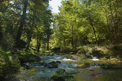 Circuit du château de Lavauguyon à Maisonnais sur Tardoire_1