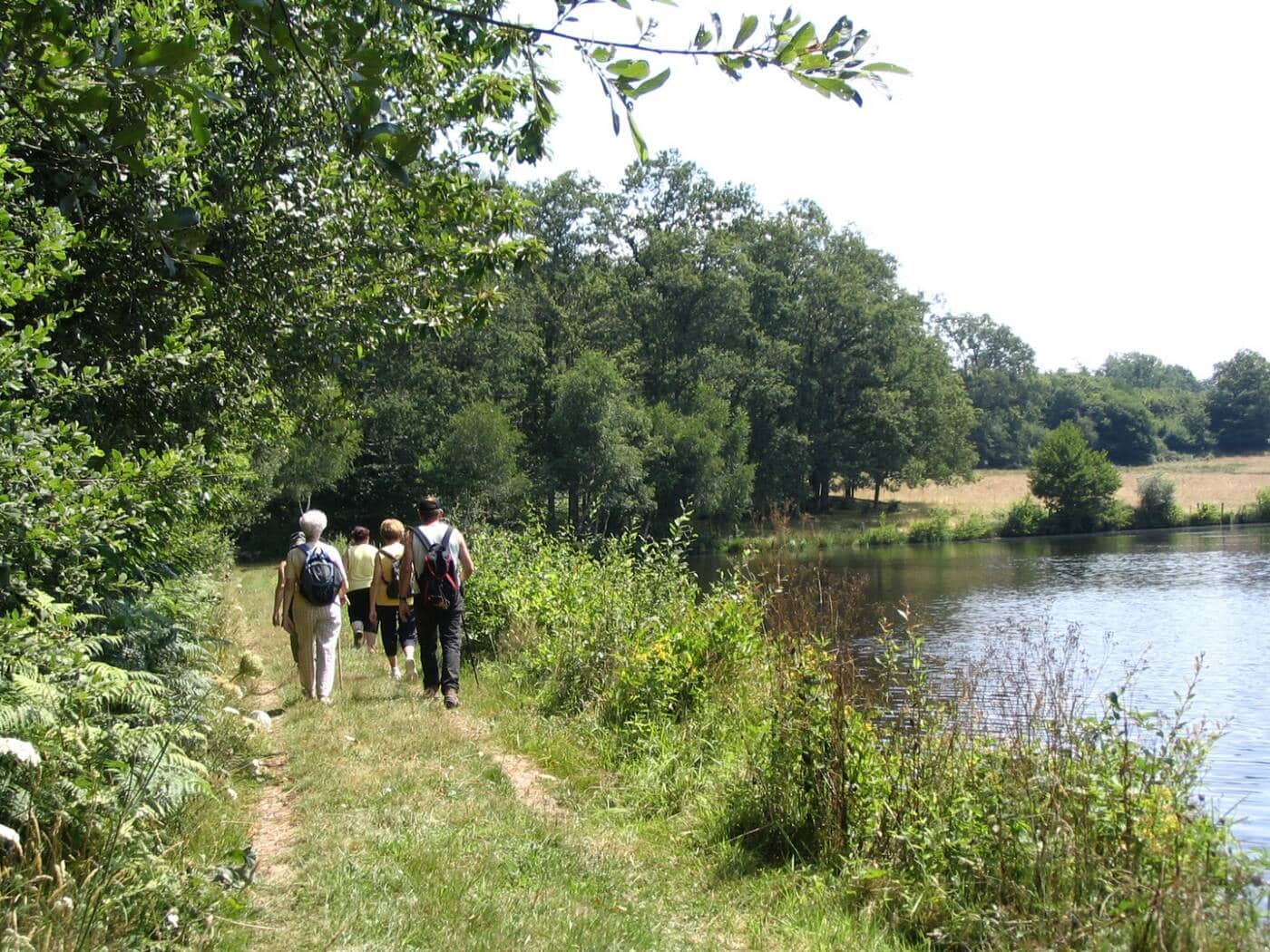 Sentier de randonnée, passage chaussée de l'étang de Chenevières_1