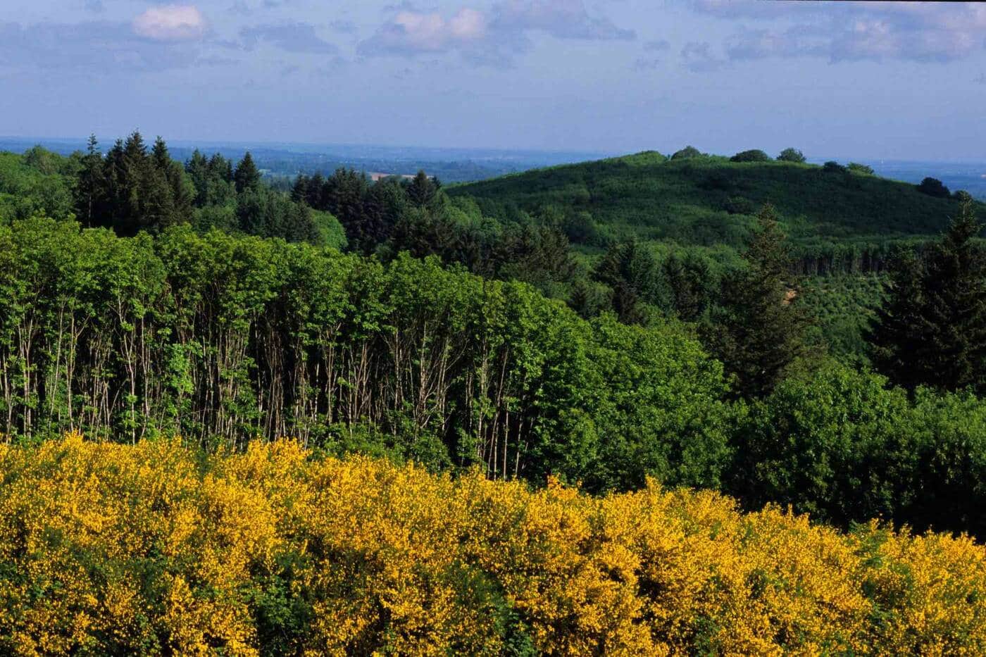 La Grande boucle du Parc Périgord-Limousin_1