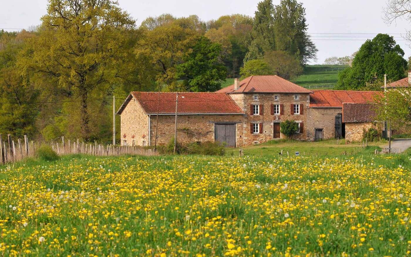 Sentier chez le Geai_1