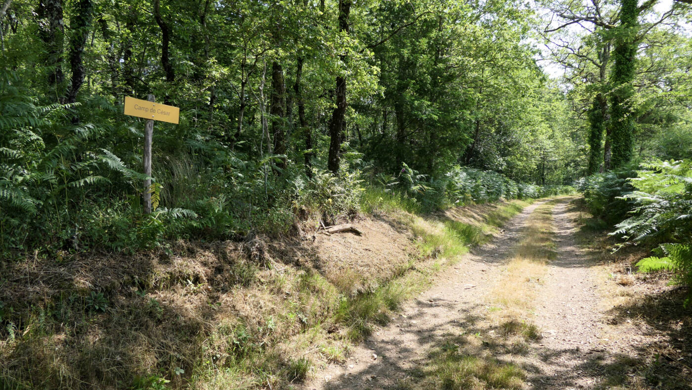 Circuit des rives de la Charente
