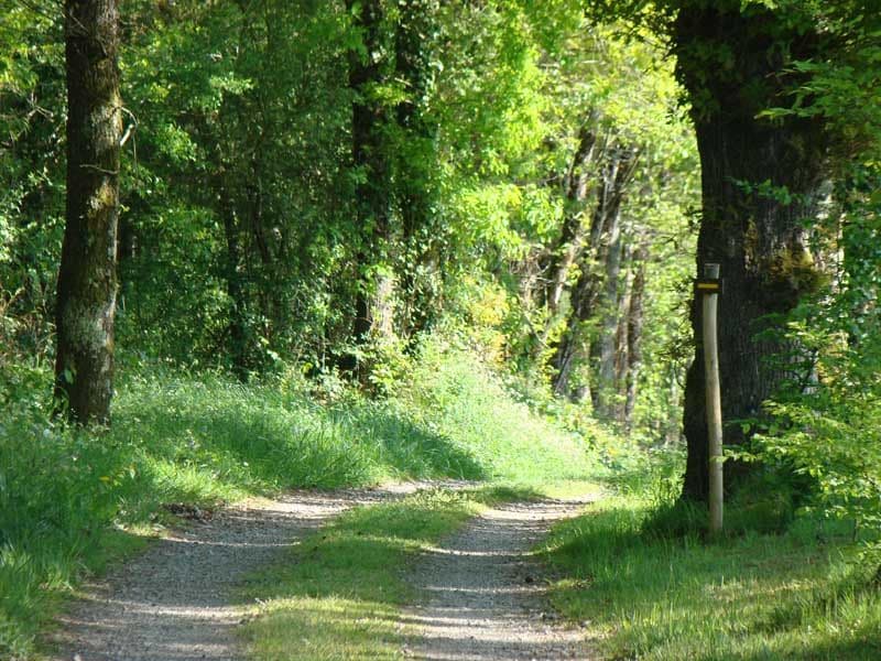 Circuit des rives de la Charente_1