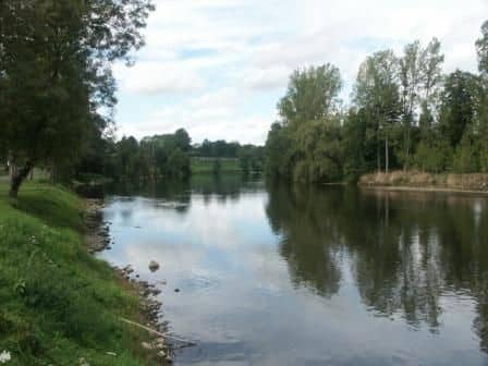 Parcours Carpe sur la Vienne à Aixe-sur-Vienne_1