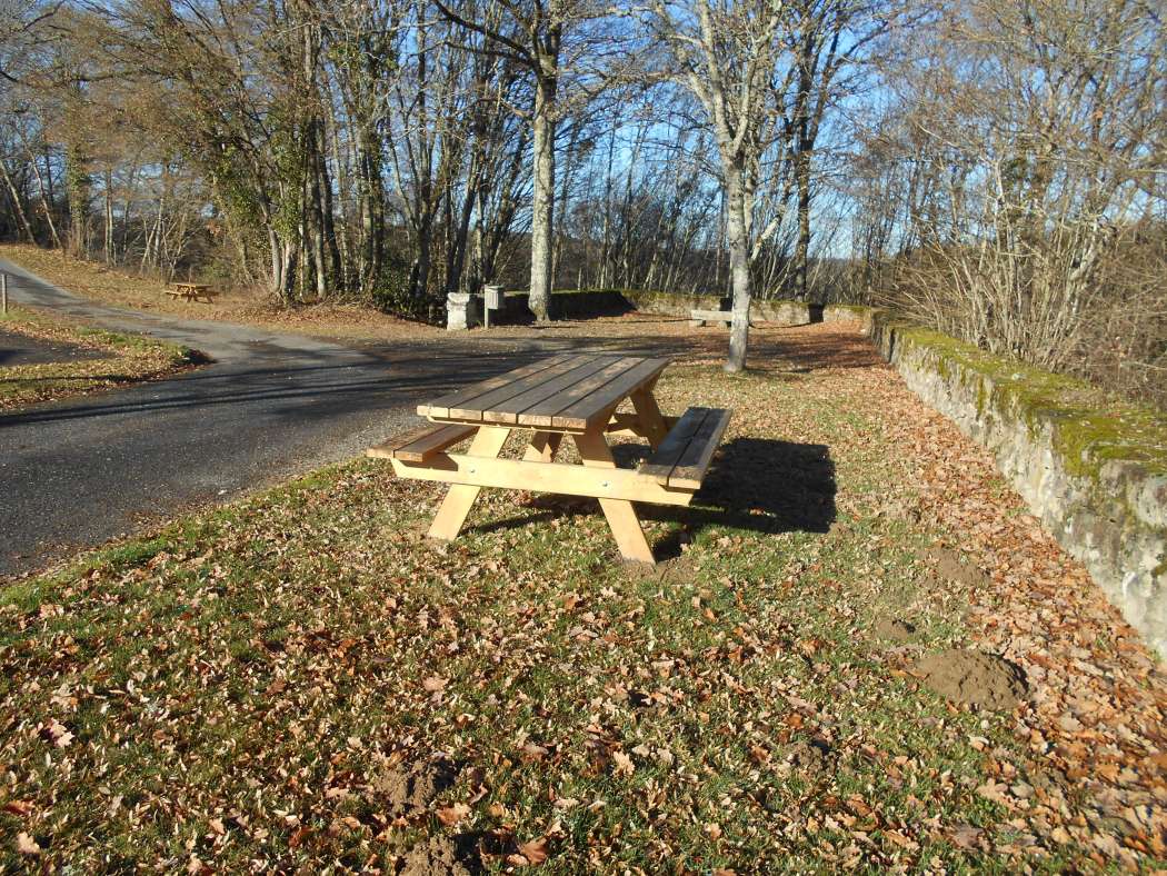 Aire de pique-nique "Allées du château"_1