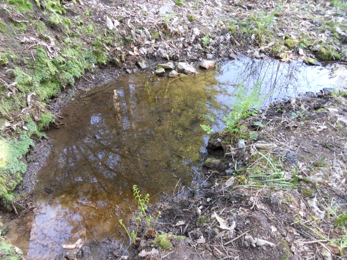 Fontaine Le Caillou_1